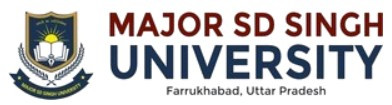 system logo